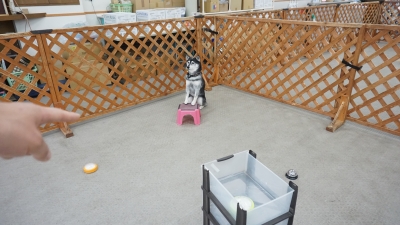 DSC03970.JPG