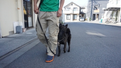 DSC03979.JPG
