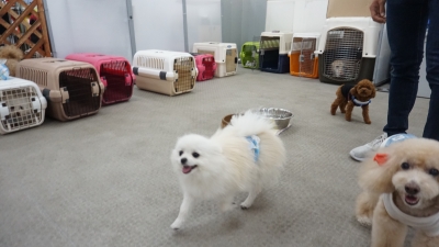 DSC04016.JPG