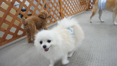 DSC04017.JPG