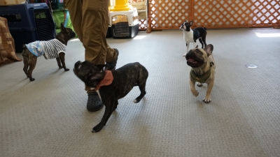 DSC08096.JPG