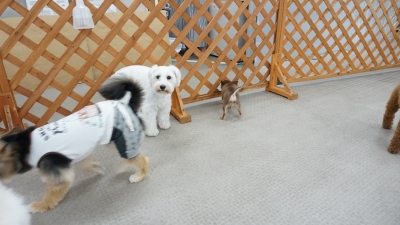 DSC08101.JPG