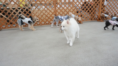 DSC08109.JPG