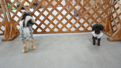 DSC08113.JPG