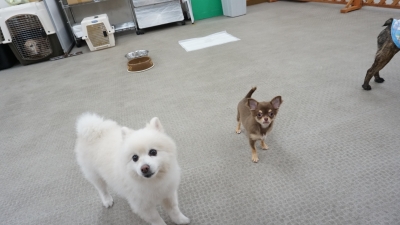 DSC08122.JPG