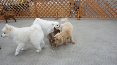 DSC08124.JPG