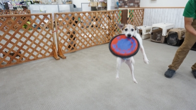 DSC08147.JPG