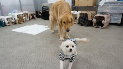 DSC08172.JPG