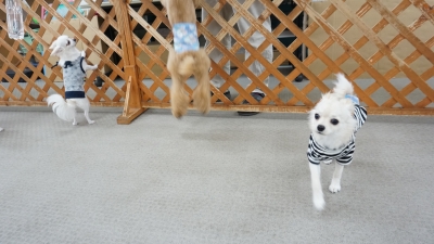 DSC08173.JPG