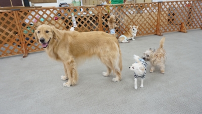 DSC08175.JPG