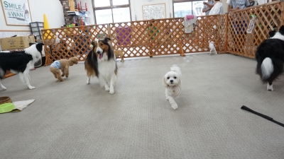 DSC08177.JPG