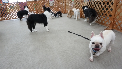 DSC08179.JPG