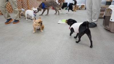 DSC08204.JPG