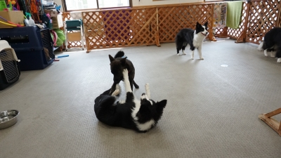 DSC08212.JPG