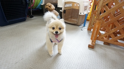 DSC08293.JPG