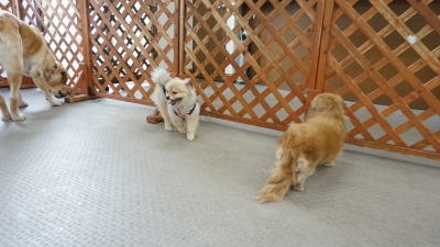 DSC08294.JPG