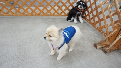 DSC08300.JPG