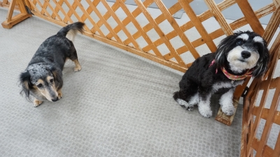 DSC08304.JPG