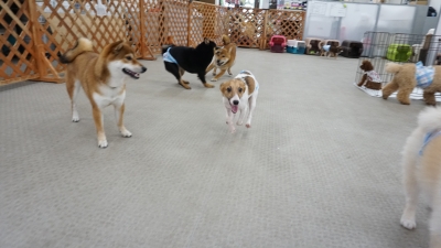 DSC08388.JPG