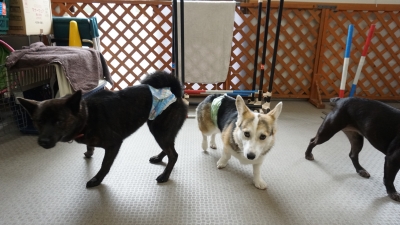 DSC08436.JPG