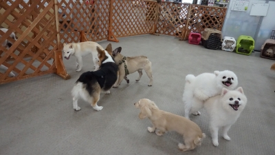 DSC01072.JPG