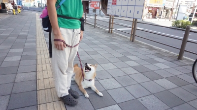 DSC01131.JPG