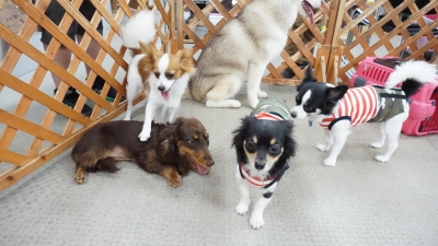DSC01163.JPG
