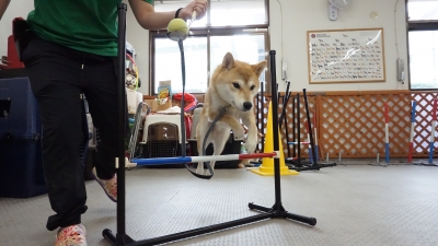 DSC01299.JPG