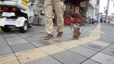 DSC01311.JPG