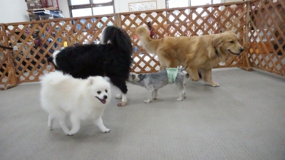 DSC04866.JPG