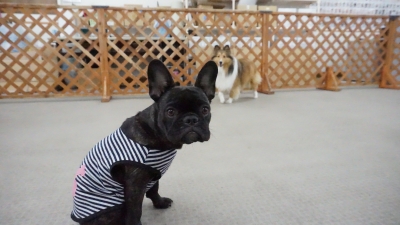 DSC04869.JPG