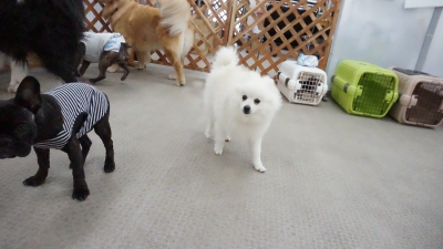 DSC04873.JPG
