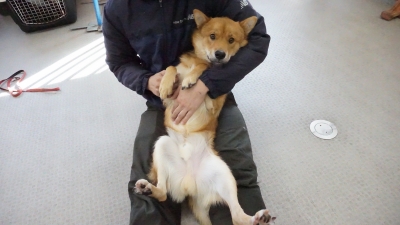DSC04891.JPG