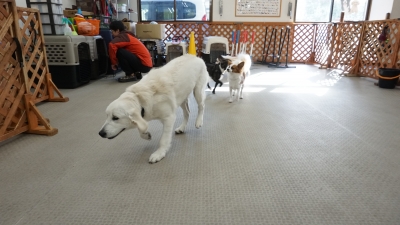 DSC04914.JPG