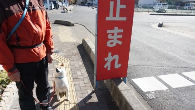 DSC04970.JPG