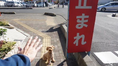 DSC04974.JPG