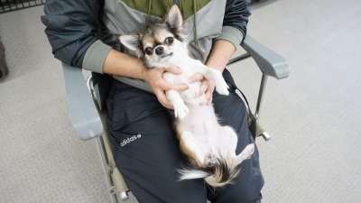 DSC04980.JPG