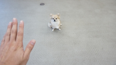 DSC05000.JPG