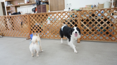 DSC05059.JPG
