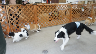 DSC05062.JPG