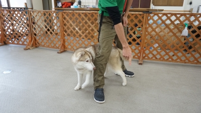 DSC05092.JPG