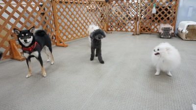 DSC05113.JPG