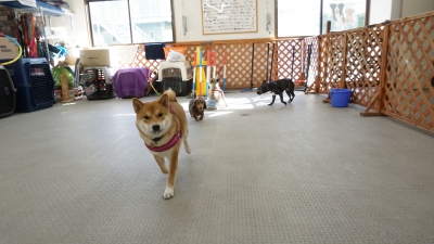 DSC05169.JPG