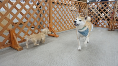 DSC05222.JPG