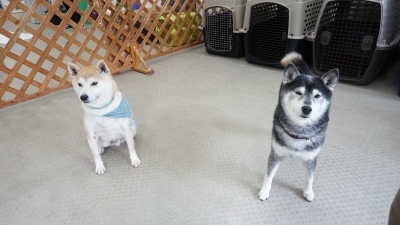 DSC05224.JPG