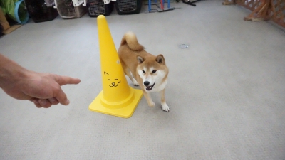 DSC05404.JPG