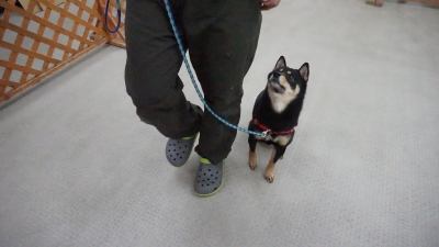 DSC05405.JPG