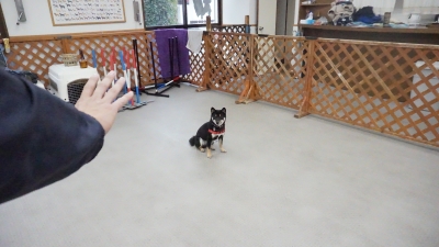 DSC05418.JPG