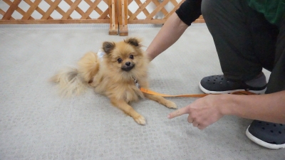 DSC05425.JPG