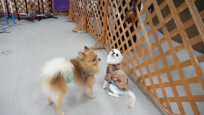 DSC05334.JPG
